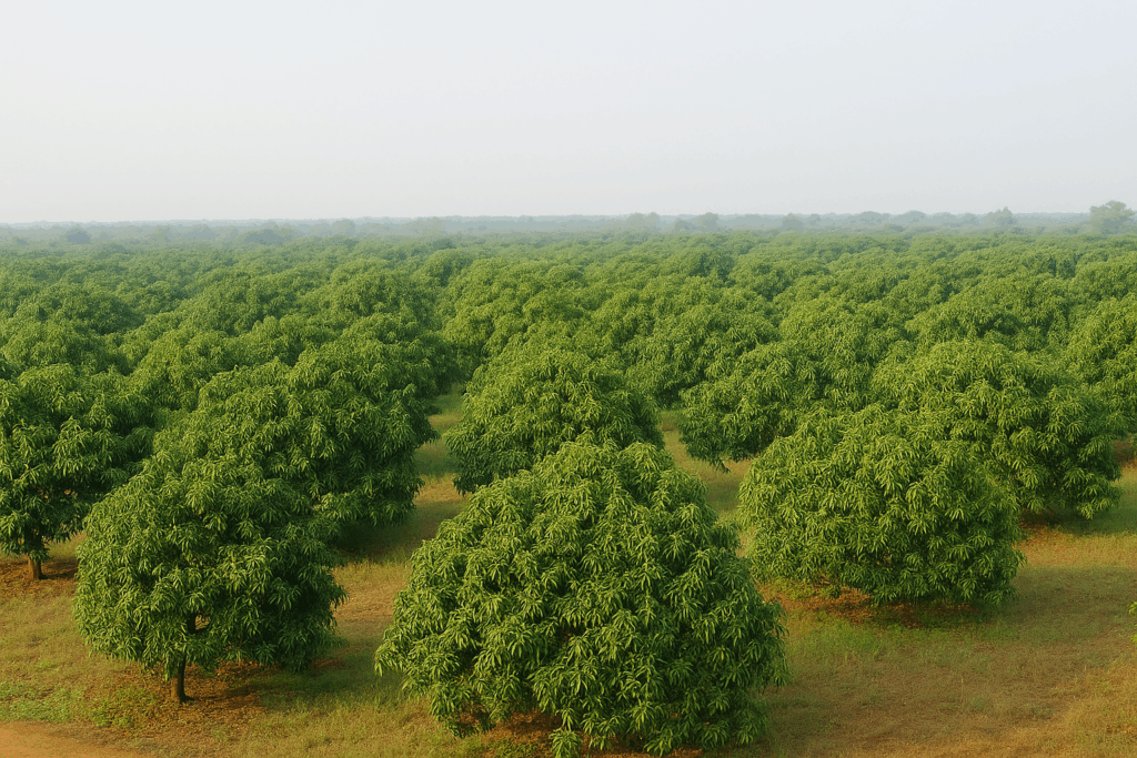 109f26bc 918e 474f a642 e5fbd787978a