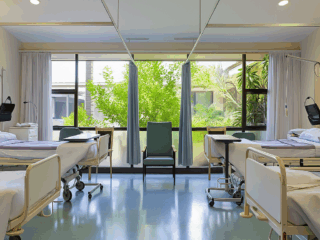 chatgpt image nov 7 2025 10 22 14 am