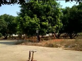 whatsapp image 2025 11 12 at 8.45.37 am